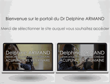 Tablet Screenshot of delphinearmand.com